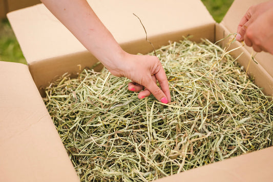 What is the Difference Between Timothy Hay and Alfalfa Hay?