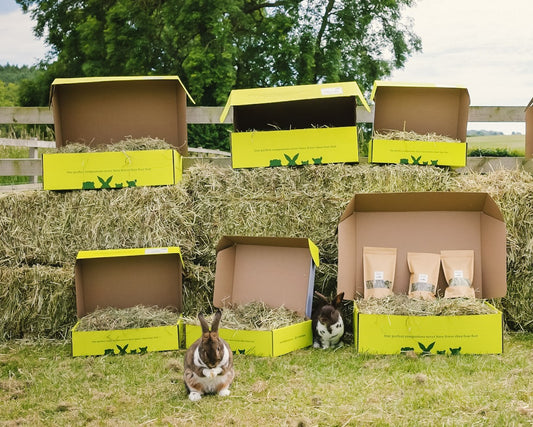 Little Hay Co Rescue Scheme