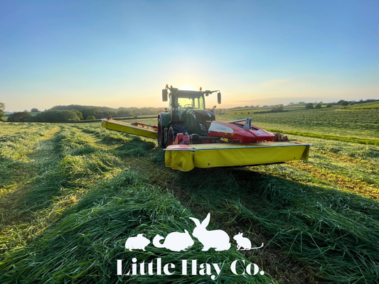 Whats been happening on the farm recently