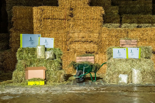 Grass Hay Types for Rabbits, Guinea Pigs, Degus & Chinchillas and other small pets
