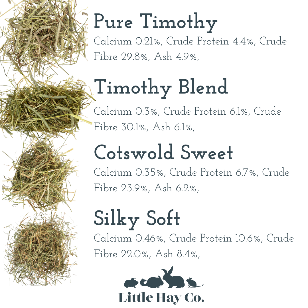 Illustration of Dried Hay For Rabbits Excellent Nutritional Value