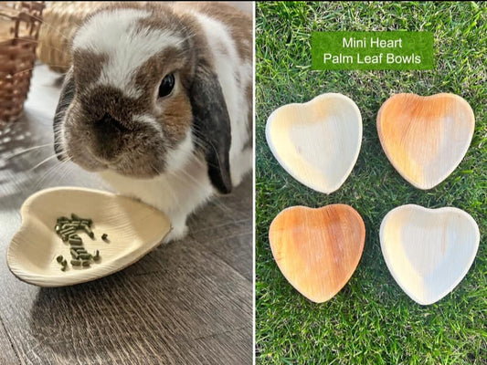 Palm Leaf Bowls & Products
