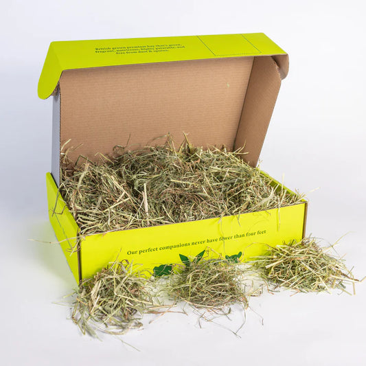 New Year, New Hay