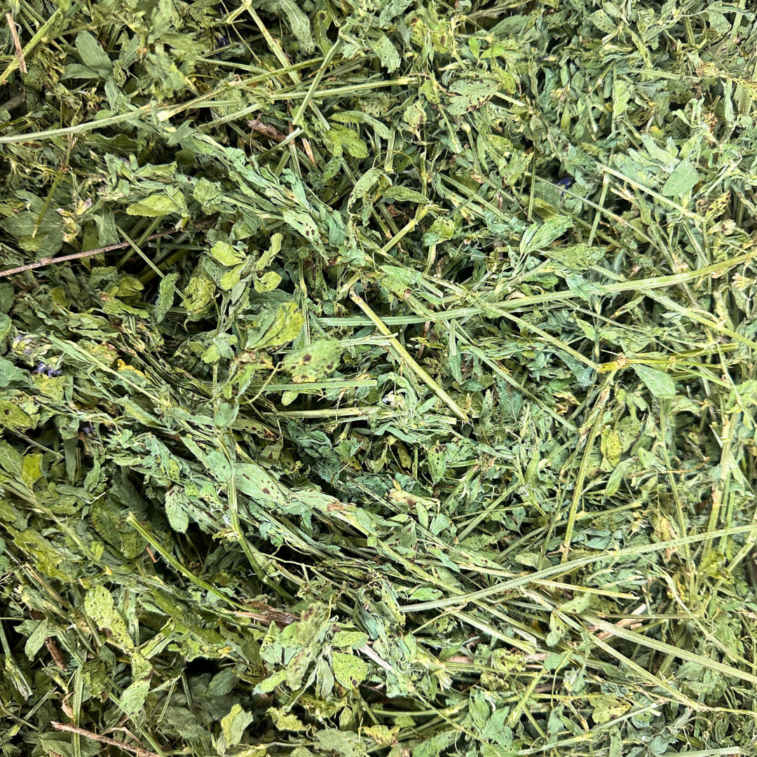 Alfalfa Hay
