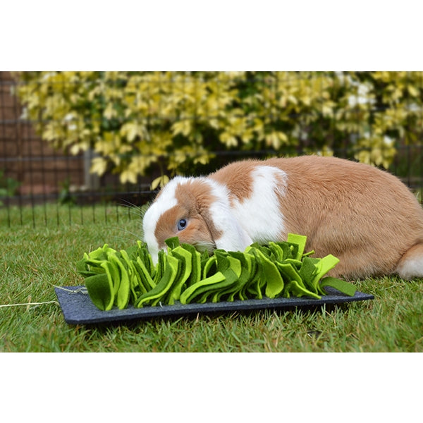 Snuffle Forage Mats