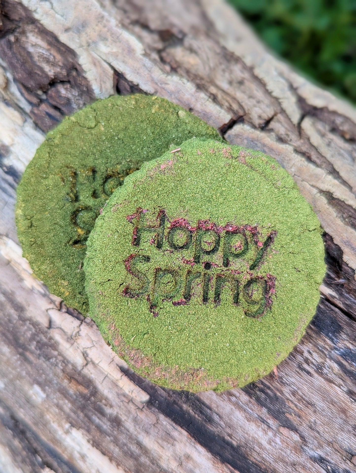 Chewy Chews Hoppy Spring Cookies