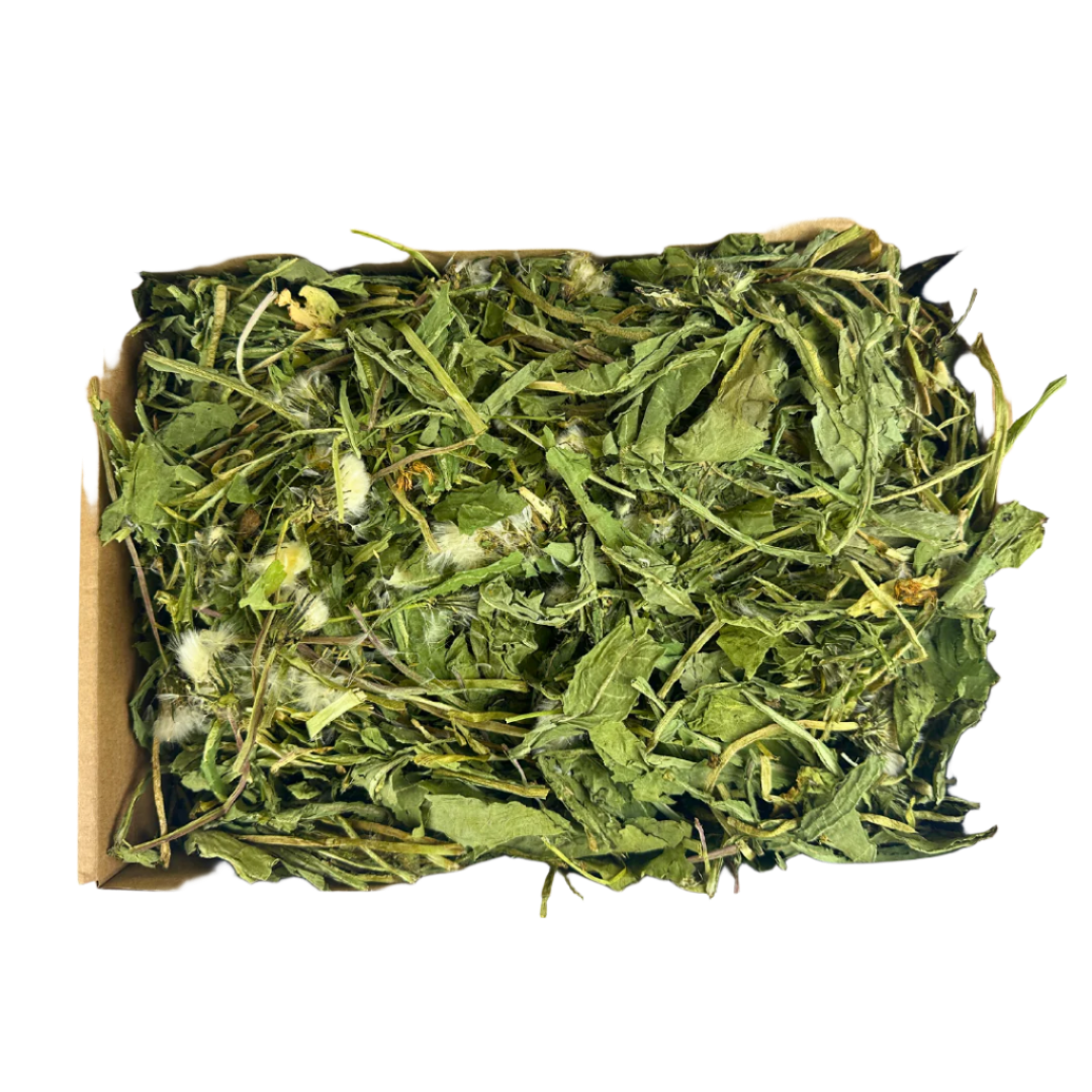 Dandelion Leaves 500g Box