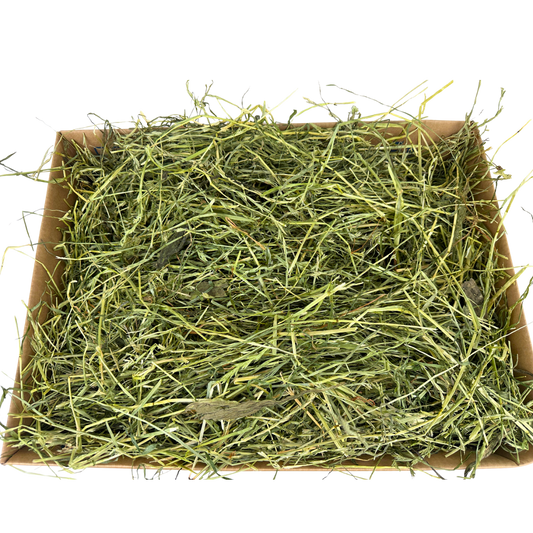 Cotswold Sweet with Plantain