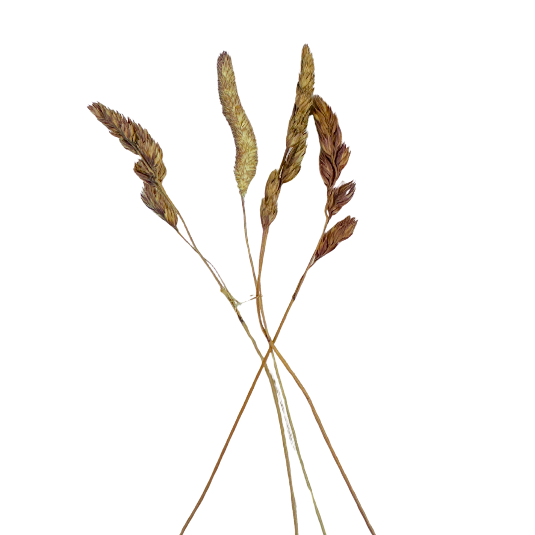 Orchard Hay