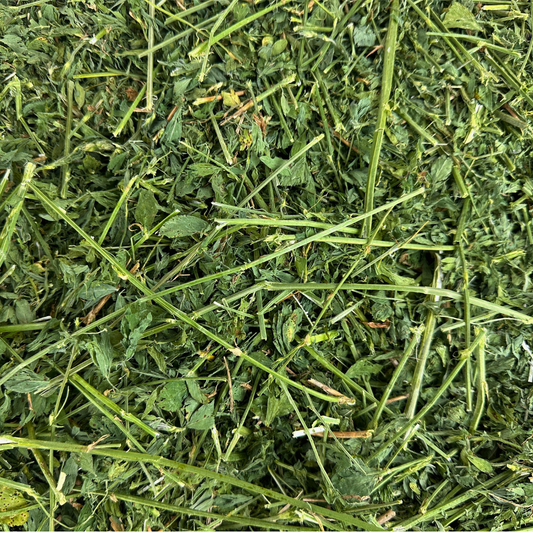 Alfalfa Hay