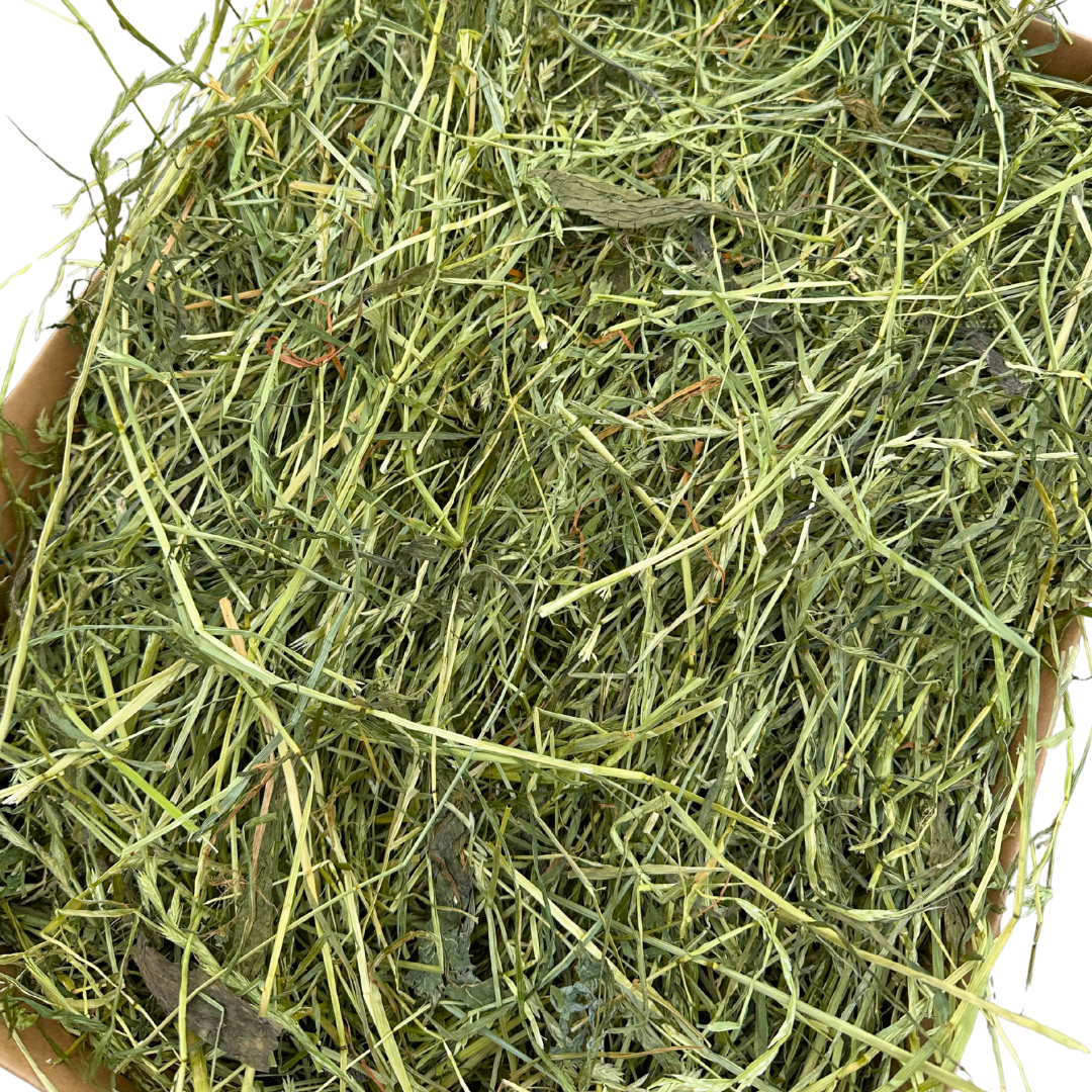 Cotswold Sweet with Plantain