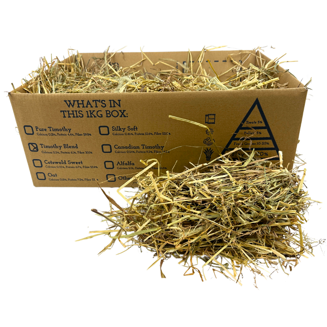Meadow Hay & Timothy Blend