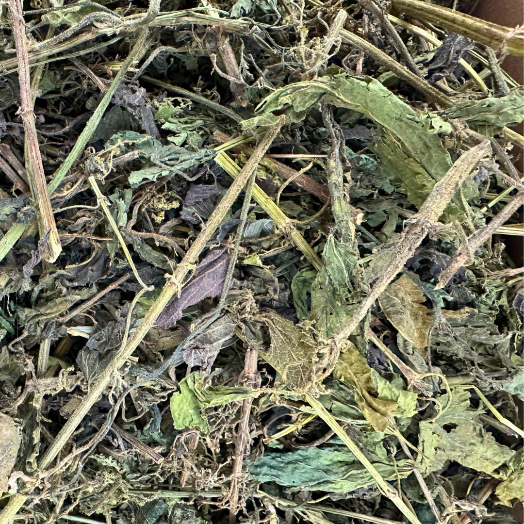 nettle bundle