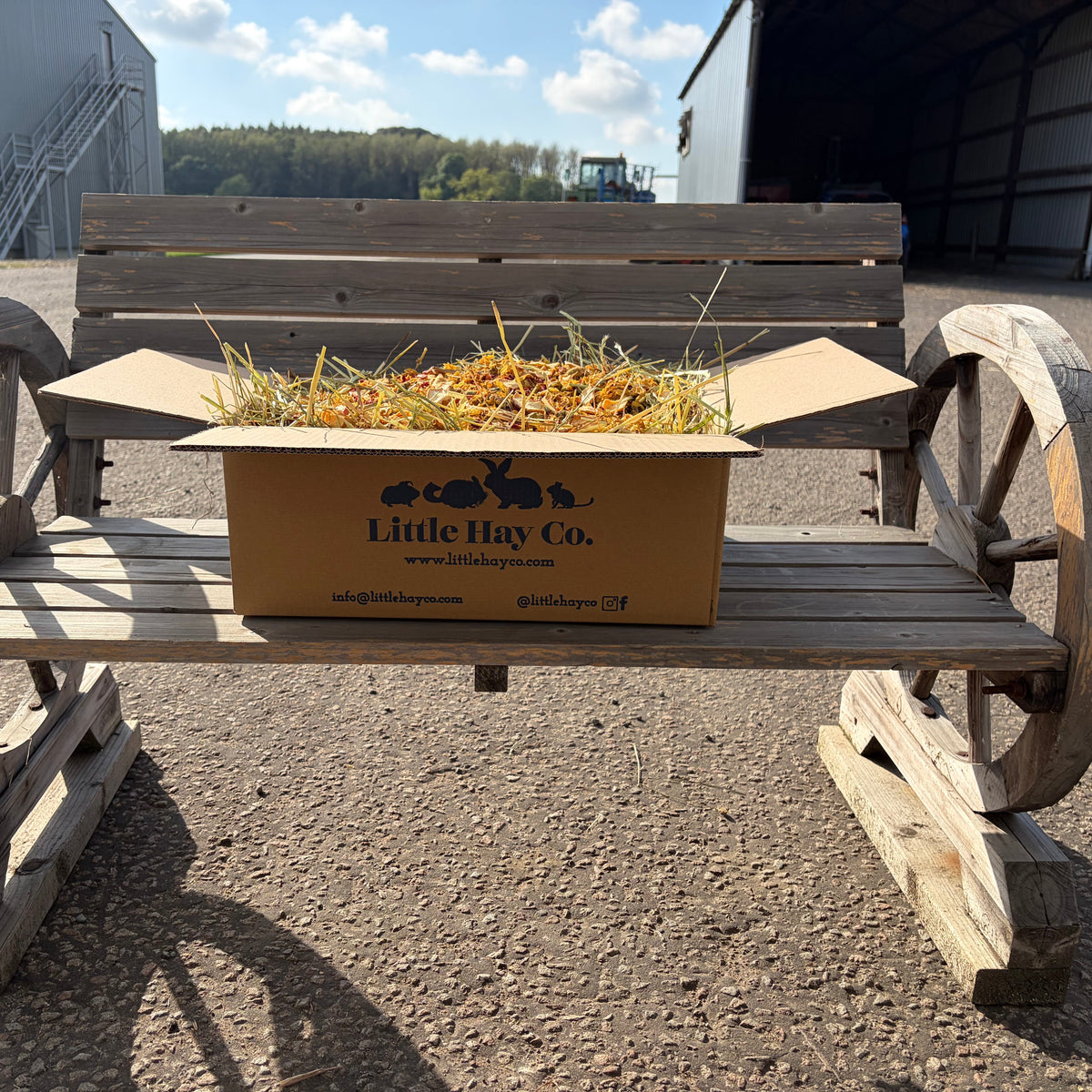 Autumn Forage Box