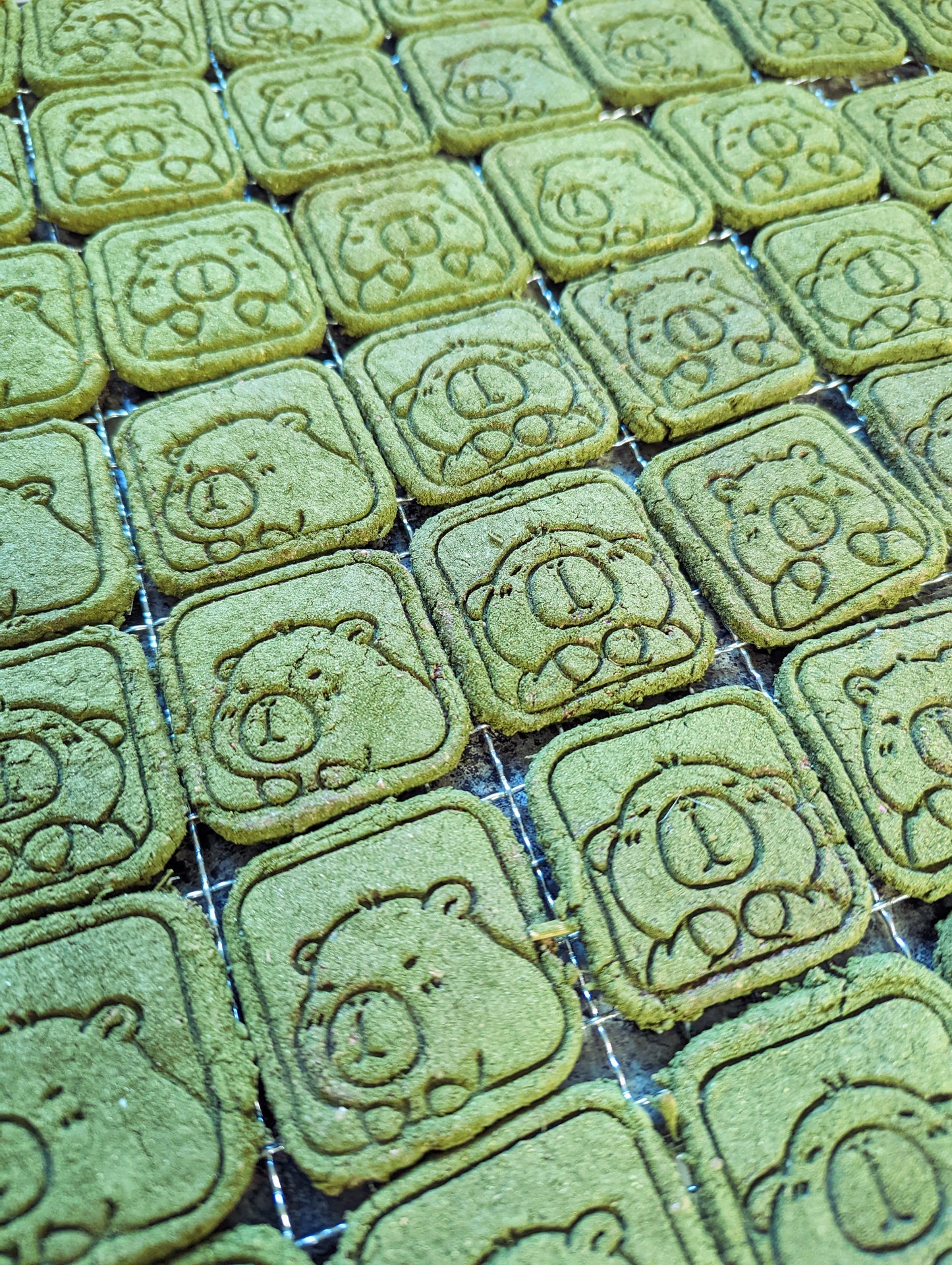 Chewy Chews Capybara Square Cookies