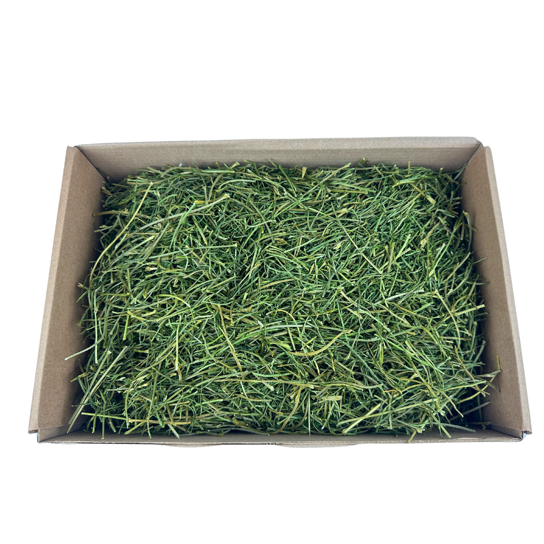 Mystery Forage Box 1kg