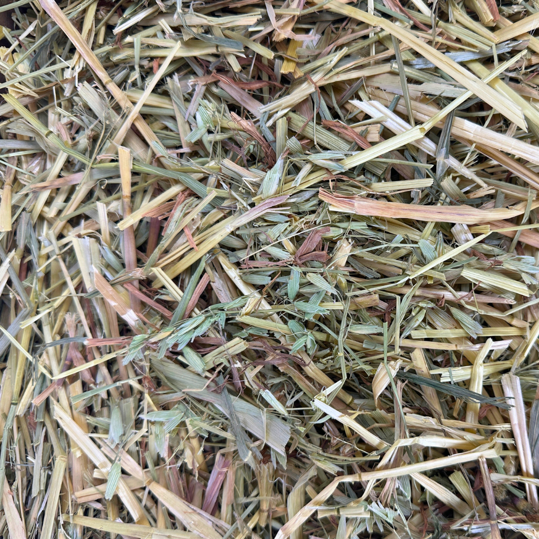 Oat Hay 1kg