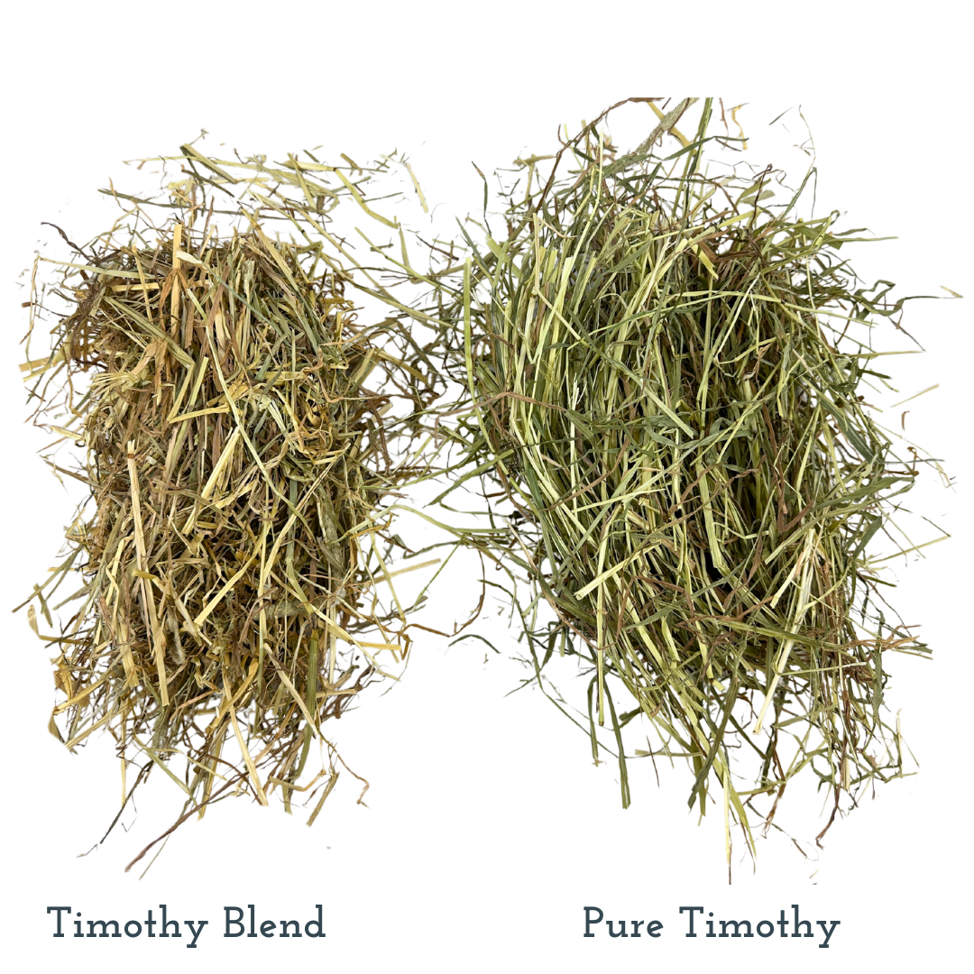 Meadow Hay & Timothy Blend
