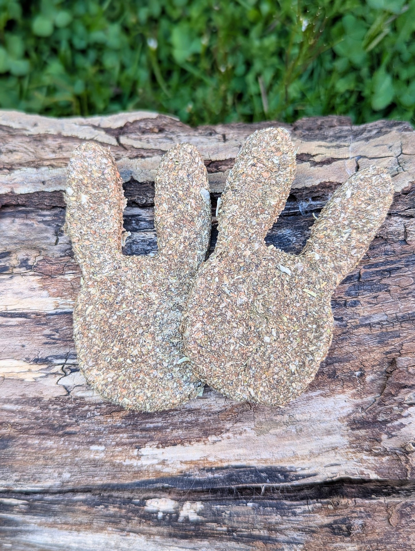 Chewy Chews Bunny Ears