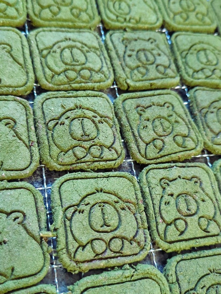 Chewy Chews Capybara Square Cookies