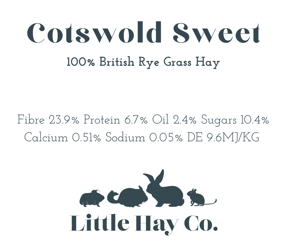 Rescue Appeal Cotswold Sweet