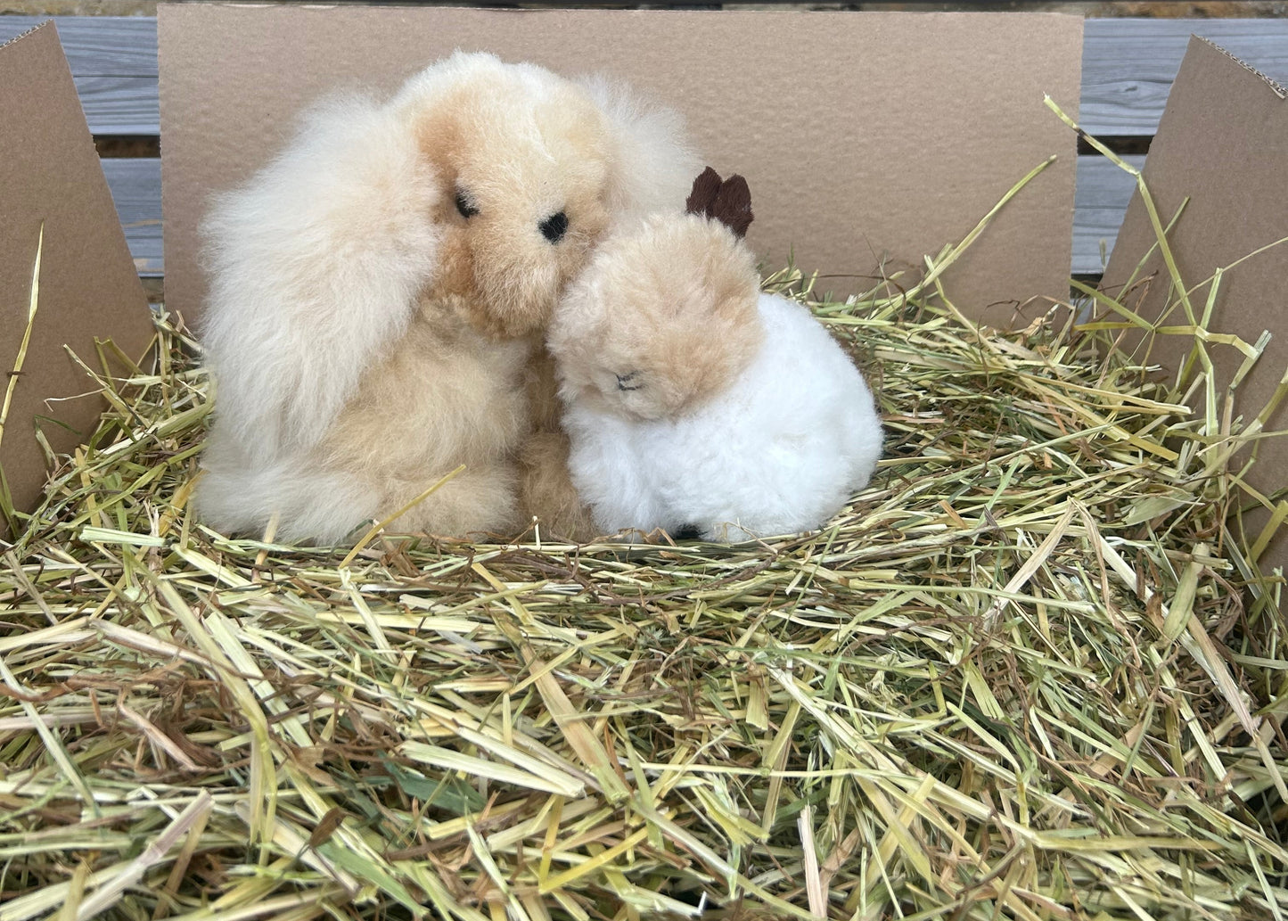 Rabbit Cuddly Toy