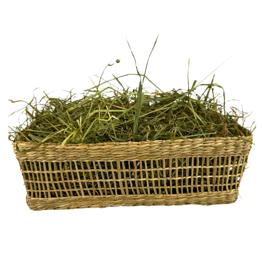Seagrass Basket