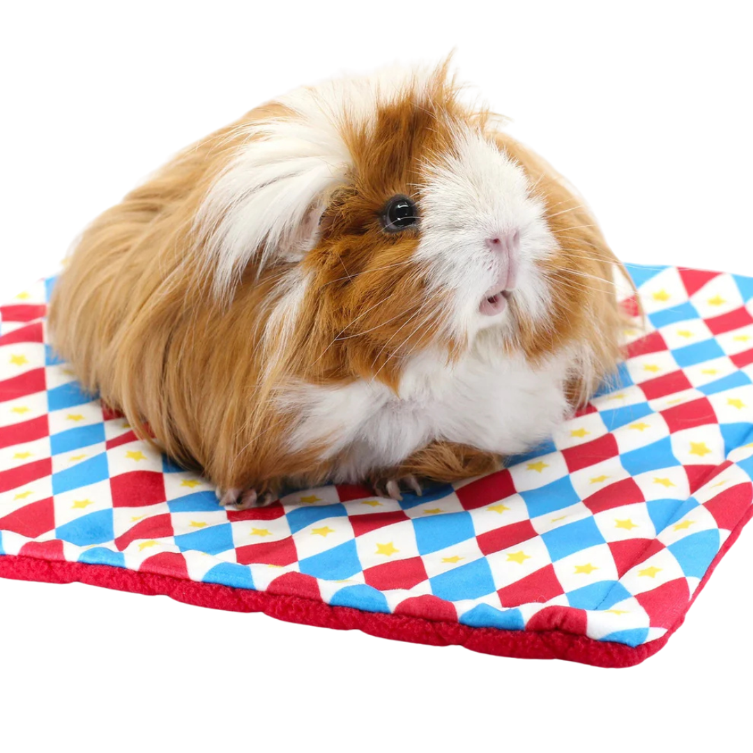 HayPigs Harlequin Collection - Reversible pads