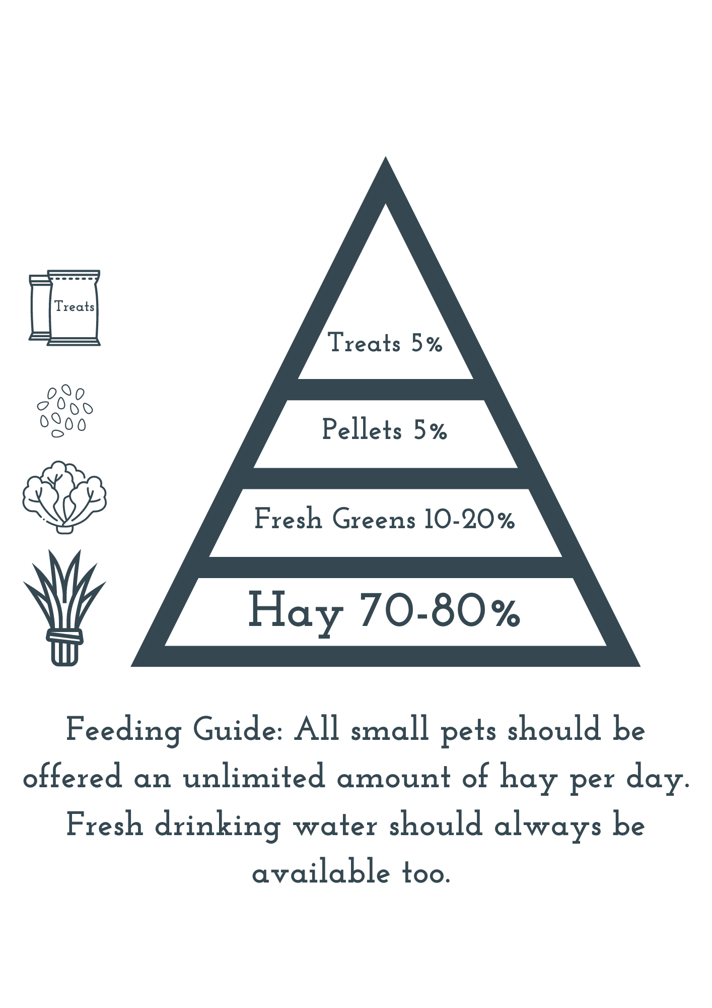 Meadow Hay & Timothy Blend