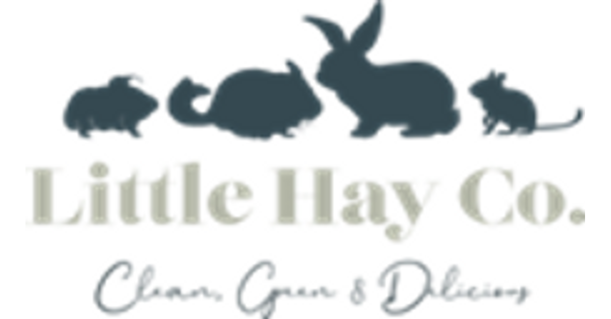 Delicious, Premium Hay Boxes in UK
– The Little Hay Company