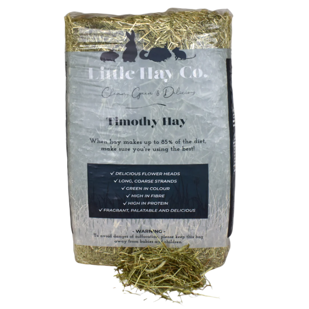 Timothy Hay