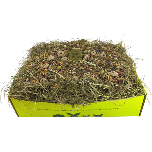 The Spring Forage Feastival Box