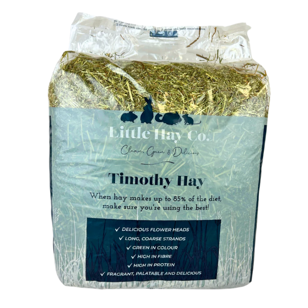 Timothy Hay