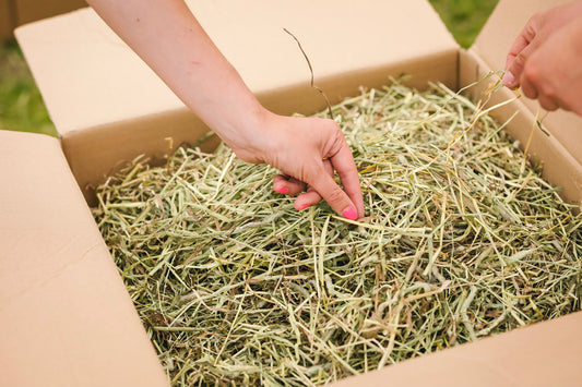 How to store rabbit hay