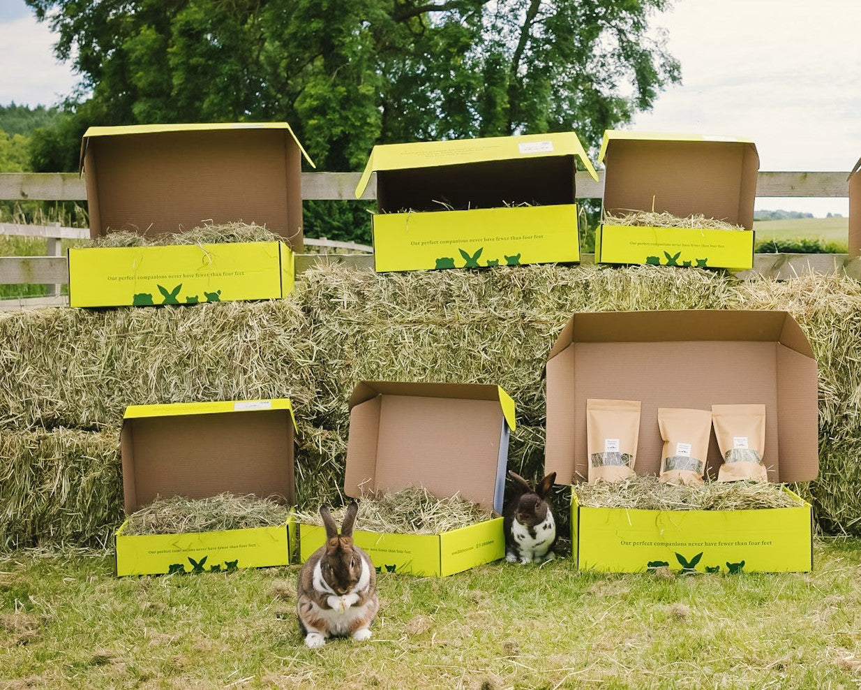Hay Pay Hay Price Updates - January 2022 - The Little Hay Company