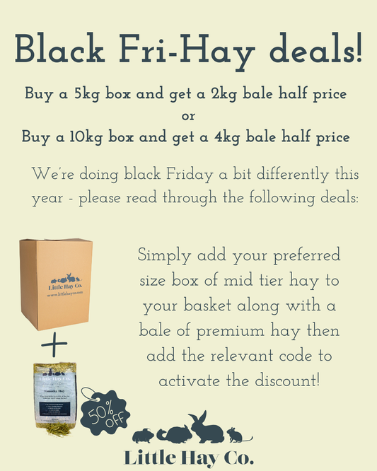 Black Fri-Hay Deals 2025