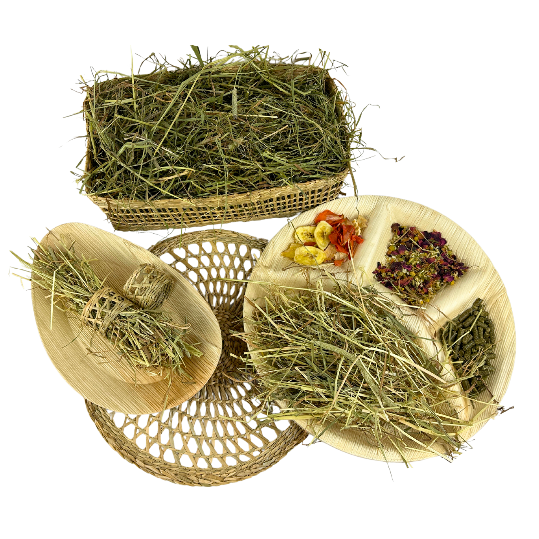 Forage & Enrichment Ideas for Rabbits – The Little Hay Company