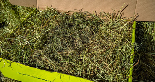 Which hay is the right hay for your pet?