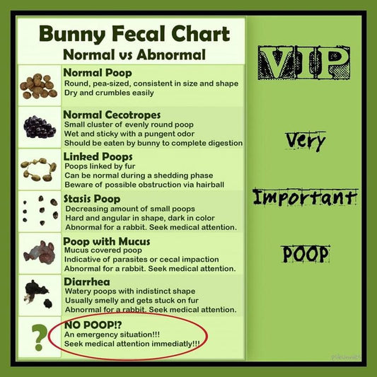 Bunny Poo Chart