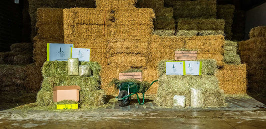 Win a year’s supply of hay from Little Hay Co and the full HayPigs!® Guinea Pig Circus™ range!