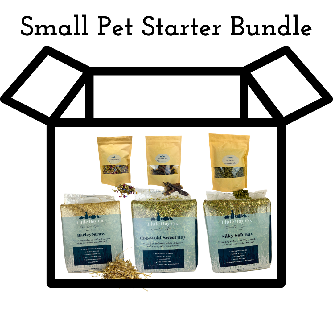 Family Friendly Small Pets Starter Kit photo