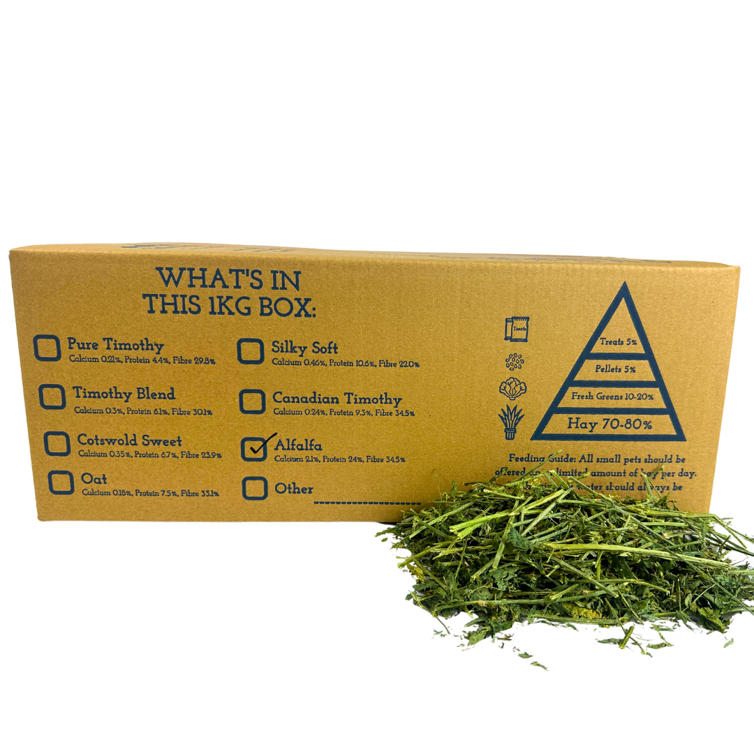 All Hay for small pets