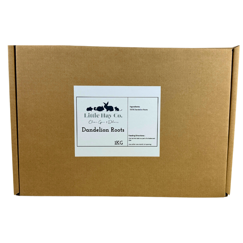 Dandelion roots for Rabbits, Guinea Pigs and small pets – The Little ...