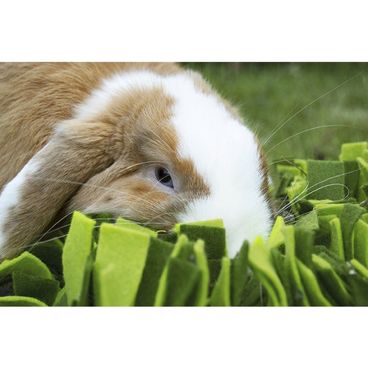 Snuffle Forage Mats