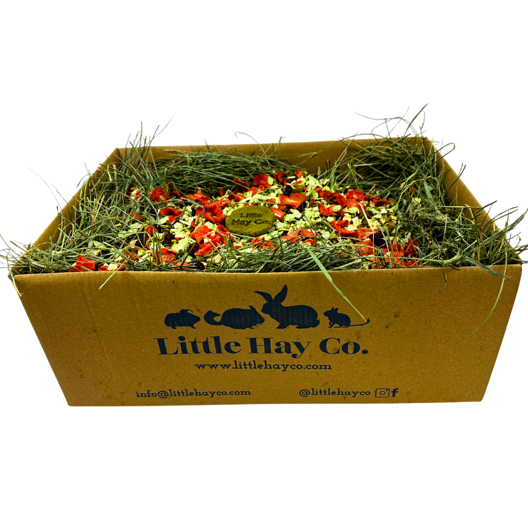 Christmas Dinner Forage Box