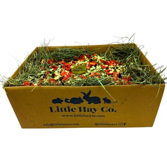 Christmas Dinner Forage Box