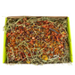 Autumn Forage box