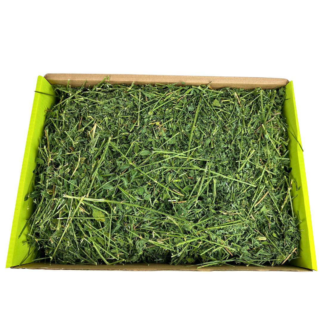 A closer look at Alfalfa Hay With Added Psyllium