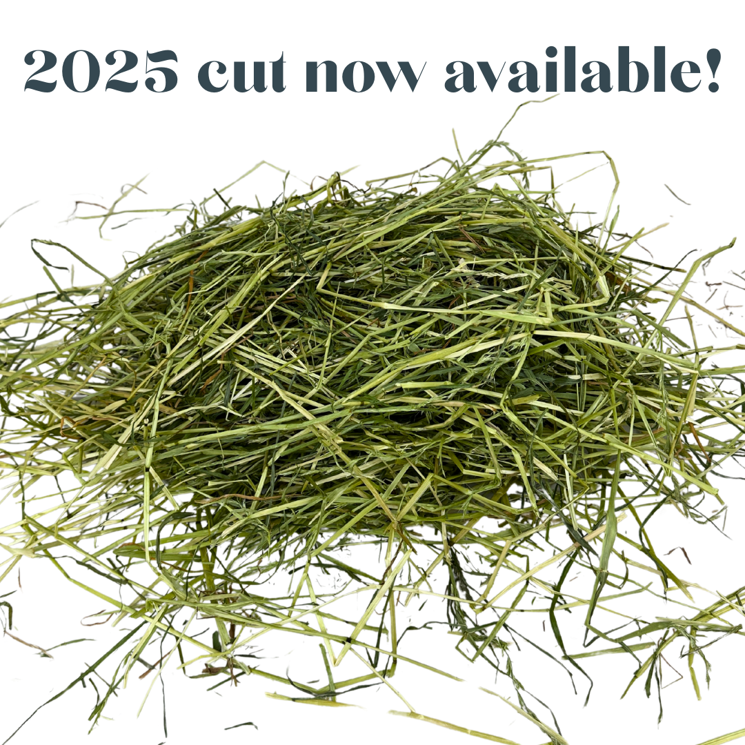 Rabbit Hay UK - Best Hay for Rabbits – The Little Hay Company