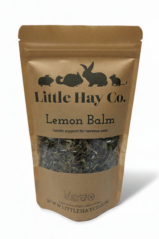 Lemon Balm